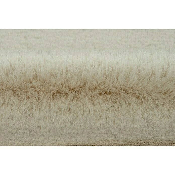 BAUHAUS Hochflorteppich Happy Elfenbein, 230 X 160 Cm, 100 % Polyester (Flor) 5 BAUHAUS Hochflorteppich Happy Elfenbein, 230 X 160 Cm, 100 % Polyester (Flor) – Bild 3