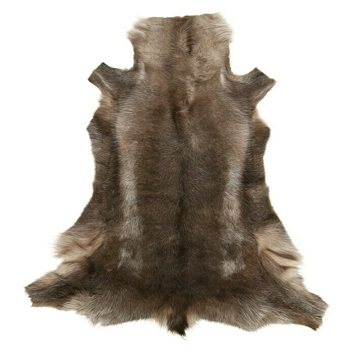BAUHAUS Esbeco Deko-Rentierfell Braun/Weiß, 110 X 70 Cm, 100 % Echtfell 3 BAUHAUS Esbeco Deko-Rentierfell Braun/Weiß, 110 X 70 Cm, 100 % Echtfell