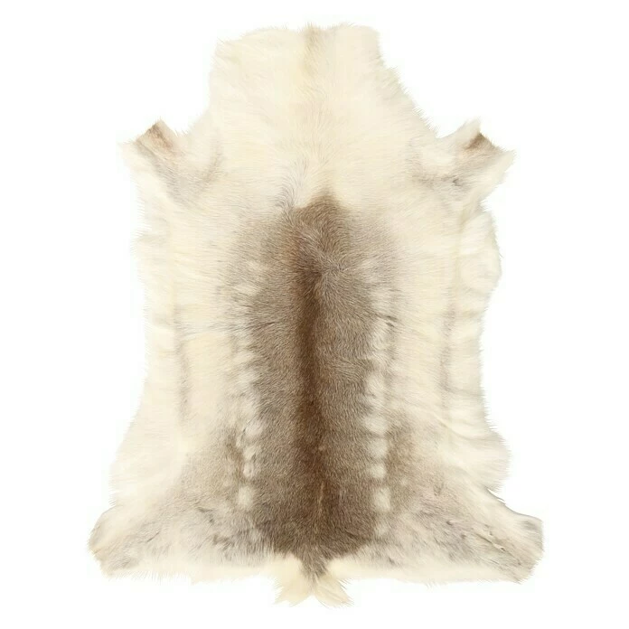 BAUHAUS Esbeco Deko-Rentierfell Braun/Weiß, 110 X 70 Cm, 100 % Echtfell 5 BAUHAUS Esbeco Deko-Rentierfell Braun/Weiß, 110 X 70 Cm, 100 % Echtfell – Bild 3