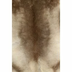 BAUHAUS Esbeco Deko-Rentierfell Braun/Weiß, 110 X 70 Cm, 100 % Echtfell 12 BAUHAUS Esbeco Deko-Rentierfell Braun/Weiß, 110 X 70 Cm, 100 % Echtfell -Bodenfliesen Verkäufe 12 3651