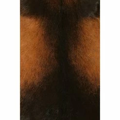 BAUHAUS Esbeco Deko-Ziegenfell Braun, 70 X 55 Cm, 100 % Echtfell -Bodenfliesen Verkäufe 12 3677