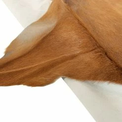 BAUHAUS Esbeco Deko-Ziegenfell Braun, 70 X 55 Cm, 100 % Echtfell -Bodenfliesen Verkäufe 12 3679