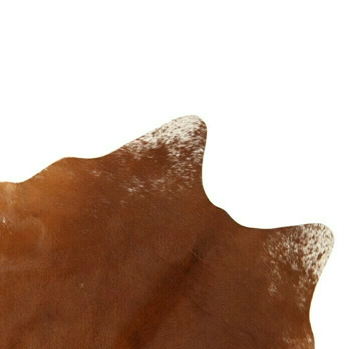 BAUHAUS Esbeco Deko-Kuhfell Exotisch Mittel, 100 % Echtfell, Fläche Ca.: 3 M² - 4 M² 8 BAUHAUS Esbeco Deko-Kuhfell Exotisch Mittel, 100 % Echtfell, Fläche Ca.: 3 M² - 4 M² – Bild 6